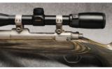 Ruger M77 Hawkeye .204 Ruger - 5 of 7