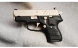 Sig Sauer P224 .40 S&W - 2 of 2