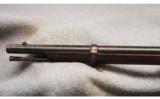 Springfield 1873 Trapdoor .45-70 - 7 of 7