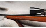 Ruger M77 Mark II
.270 Win - 7 of 7