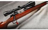 Winchester Mod 70 SA .243 Win - 1 of 7