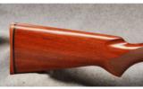 Winchester Mod 70 SA .243 Win - 6 of 7