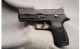 Sig Sauer P250.45 ACP - 2 of 2