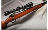 Ruger M77
.270 Win - 1 of 7