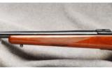 Ruger M77.220 Swift - 7 of 7