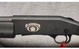 Mossberg 930 Blackwater 12ga - 3 of 7