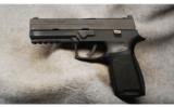 Sig Sauer P250 .45 ACP - 2 of 2