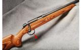 Remington 504-T .17 HMR - 1 of 7