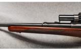 Winchester Mod 70 .270 Win (Pre 64) - 7 of 7