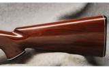 Remington Nylon 10 .22 S, L, LR - 6 of 7