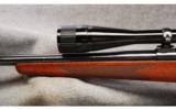 Winchester Mod 70 Sporter Varmint .243 Win - 7 of 7