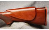 Winchester Mod 70 Sporter Varmint .243 Win - 6 of 7