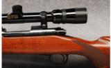 Winchester Mod 70 Sporter Varmint .243 Win - 3 of 7