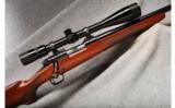Winchester Mod 70 Sporter Varmint .243 Win - 1 of 7