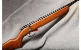 Remington Mod 510 Smooth Bore .22 S. L. LR - 1 of 7