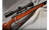Remington 700 .300 Win Mag - 1 of 7