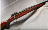 Winchester Mod 70 .250-3000 Sav - 1 of 7