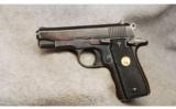 Colt Government
Model .380 ACP - 2 of 2