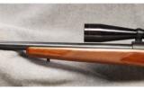 Winchester Mod 70 .220 Swift - 7 of 7