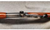 Winchester Mod 71 .348 Win - 4 of 7