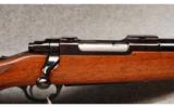 Ruger M77 .243 Win - 2 of 7