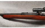 Winchester Mod 70 .270 Win - 7 of 7