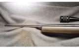 Borden Rifles Custom Target 6mm PPC - 9 of 9