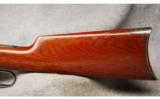 Winchester Mod 1894 .25-35 Win - 6 of 7