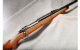 Ruger M77 Magnum .416 Rigby - 1 of 7