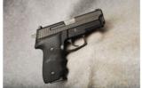 Sig Sauer P229 .40 S&W - 1 of 2