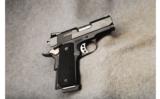 Smith & Wesson ~ Mod SW1911 Pro Series ~ .45 ACP - 1 of 2