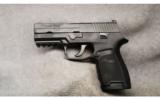 Sig Sauer P250 .40 S&W - 2 of 2