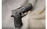 Sig Sauer P250 .40 S&W - 1 of 2
