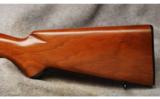 Winchester Mod 100 Carbine .243 Win - 5 of 6