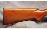 Winchester Mod 100 Carbine .243 Win - 4 of 6