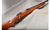 Ruger M77 .243 Win - 1 of 7