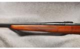 Ruger M77 .243 Win - 7 of 7
