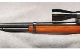 Winchester Mod 94AE XTR .307 Win - 3 of 7