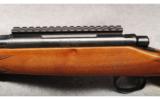 Remington 700 .35 Whelen - 5 of 7