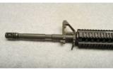 Smith & Wesson ~ M&P15X LE ~
5.56x45mm NATO - 7 of 9