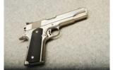 Colt ~ Gold Cup Trophy ~ .45 ACP - 1 of 2
