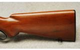 Winchester ~ 88 Carbine ~ .243 Win - 9 of 9