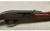Remington ~ Nylon 66 ~ .22 LR - 3 of 9