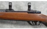 Ruger ~ M77 MKII ~ .338 Win Mag - 8 of 9