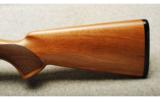 CZ-USA ~ Redhead Premier ~ 12 Ga - 9 of 9