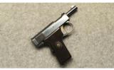 Harrington & Richardson ~ Self Loading Pistol ~ .32 ACP - 1 of 2
