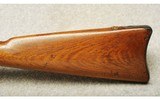 Springfield ~ 1873 ~ .45-70 Govt - 9 of 10