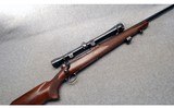 Winchester ~ 70 ~ .243 Winchester - 1 of 6