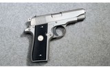 Colt ~ Government ~ .380 ACP - 1 of 2