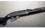 Remington Arms Co. ~ Nylon 66 ~ .22 LR - 1 of 7